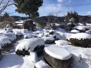 雪景色