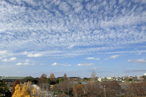 うろこ雲？いわし雲？