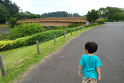 公園をお散歩